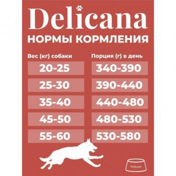 Сухой полнорационный корм Delicana для крупных собак с говядиной