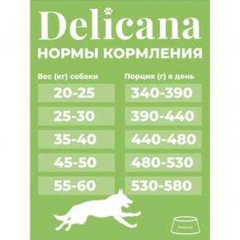 Сухой полнорационный корм Delicana для крупных собак с ягненком